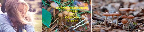 прущая мука Волоколамск