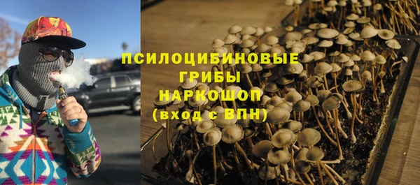 СК Володарск