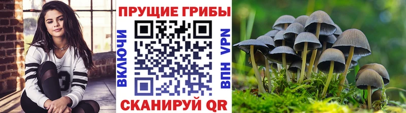 Псилоцибиновые грибы мухоморы даркнет сайт Назарово