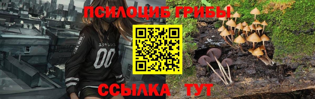 Псилоцибиновые грибы GOLDEN TEACHER  Галлюциногенные грибы Cubensis  Вход с VPN  Назарово 