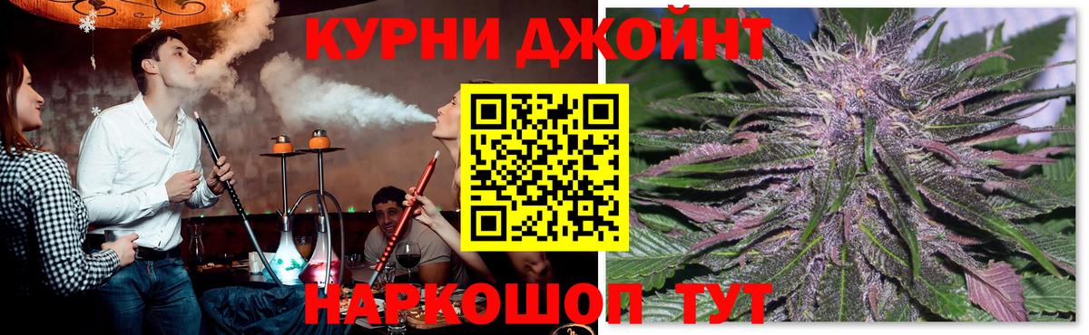 МАРИХУАНА сатива Назарово